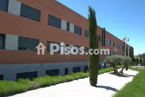Estudio en calle de Pollensa, 5